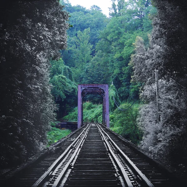 Fotografia da natureza artística de um trem vintage rastreia ponte desvanecendo-se na cor na floresta — Fotografia de Stock