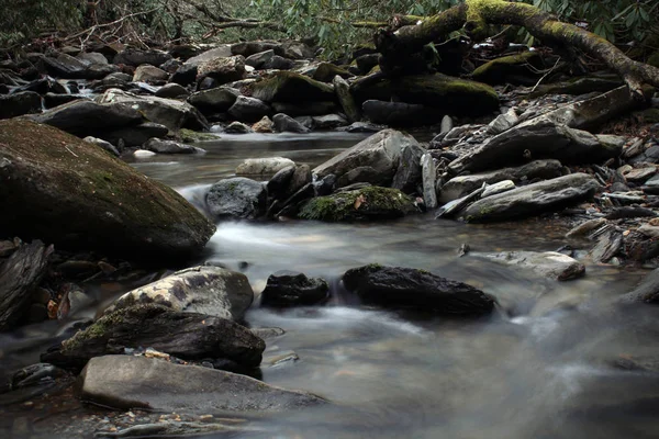 Deprimente y sombrío río oscuro en los bosques profundos — Foto de Stock