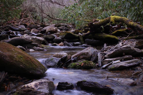Macro Naturescape de un pequeño río en velocidad de obturación lenta — Foto de Stock