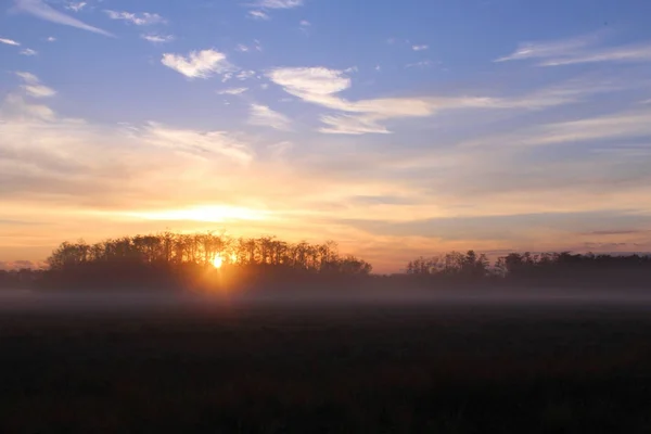 Frühmorgendlicher Sonnenschein über einem Bauernhof in Florida, Vereinigte Staaten. — Stockfoto