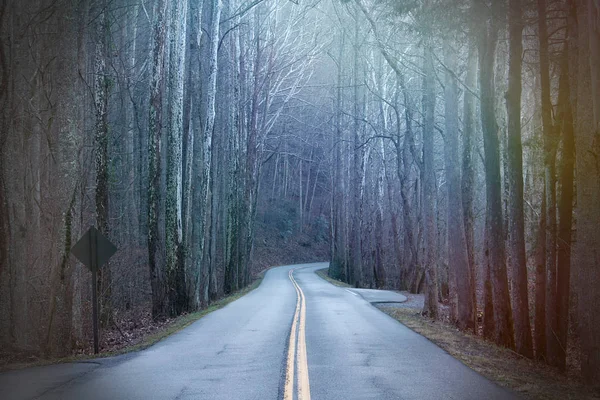 Μακρύς δρόμος φωτογραφίας στο βαθύ δάσος με πολύχρωμες ακτίνες του ήλιου φως — Φωτογραφία Αρχείου