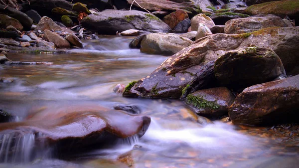 Río en el profundo bosque montañoso de Tennessee, con piedras cubiertas en musgo . — Foto de Stock