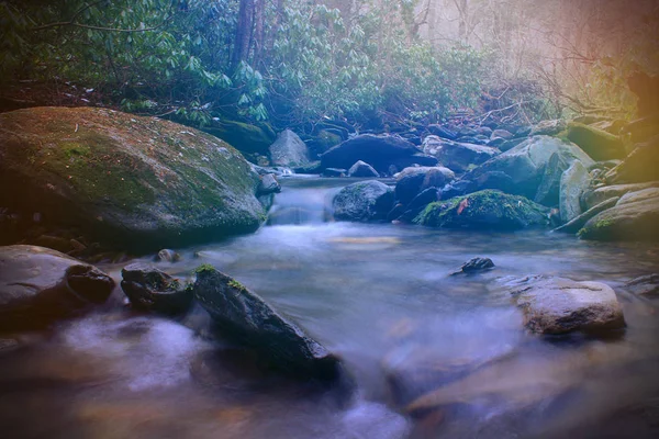 Strahlend buntes Sonnenlicht über einem kleinen Bach im leeren Naturwald — Stockfoto