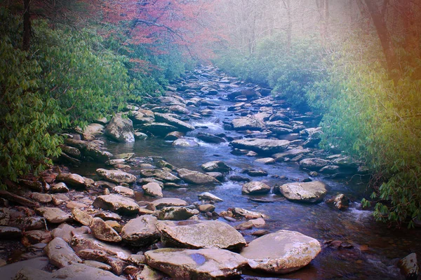 Sent dag solnedgång i skogen över en liten ström eller flod med färgglada ljus bloss — Stockfoto