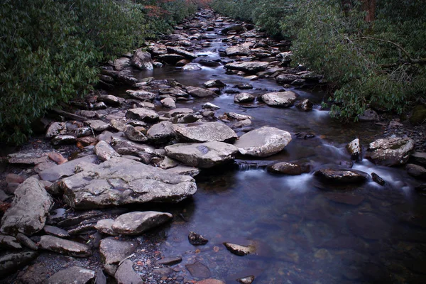 Perspektivische Flusslandschaftsaufnahmen in den rauchigen Bergwäldern des Tennissees. — Stockfoto