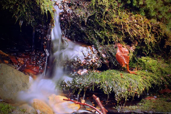 Kleiner kleiner Wasserfallbach und bemooste Steine — Stockfoto