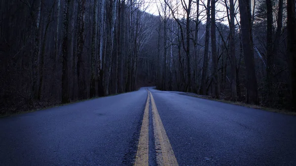 Düstere und deprimierende Straßenfotos einer Straße im leeren Wald — Stockfoto