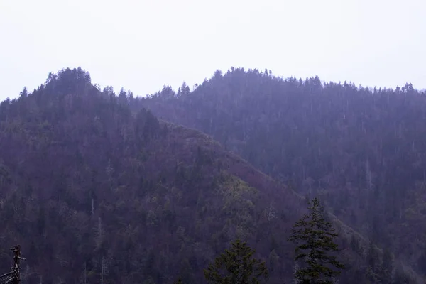Näherer Blick auf die großen verrauchten Berge Parklandschaftsaufnahmen am Morgen. — Stockfoto