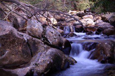 Büyük Smoky Dağları fotoğraf gece karanlığında manzara..