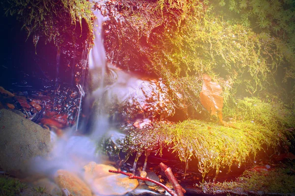 Petite chute d'eau avec des roches de rivière couvertes de mousse dans les rayons de soleil colorés — Photo