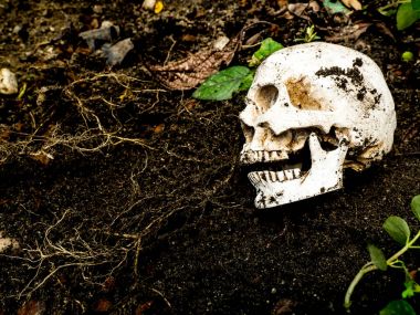 Yanında insan kafatası toprakta gömülü. Kafatası ölüm ve Cadılar Bayramı skull.concept bağlı kir vardır