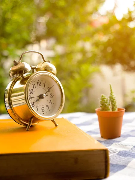 Livro amarelo com despertador vintage e cacto na toalha de mesa xadrez azul. O fundo é verde de árvore e bokeh luz — Fotografia de Stock