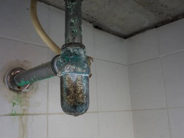 Yeşil yıkama havza boru pas. Kirli ve mikroplar boru yuvarlak