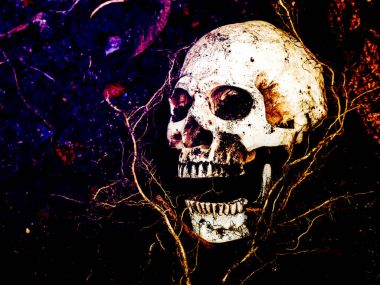 İnsan kafatası yan ağacının kökleri toprakta gömülü önünde. Kafatası ölüm ve Cadılar Bayramı skull.concept bağlı kir vardır