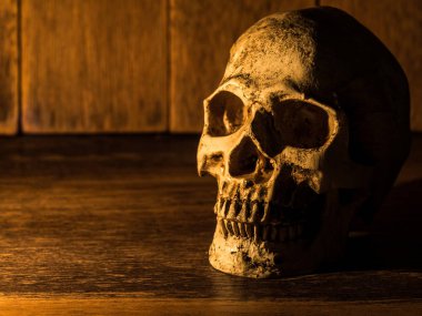 Kafatası üzerinde ahşap bir masa yerleştirilir. Bir ahşap plaka ve mum ışığı kafatasında arka plan olduğunu.