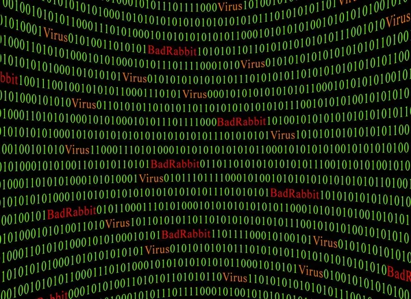 Güvenlik ve virüs ve kötü tavşan Ransomware kavramı. Kötü tavşan ve yeşil ikili kod kırmızı metin.