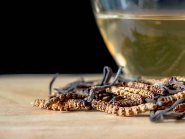Tırtıl sinensis (Chong Cao) focust seçin veya bu cordyceps mantar bir otlar. Bir bardak su ile sinensis ekstresi tırtıl su ekleyin. Hastalıkların tedavisinde tıbbi özellikleri.