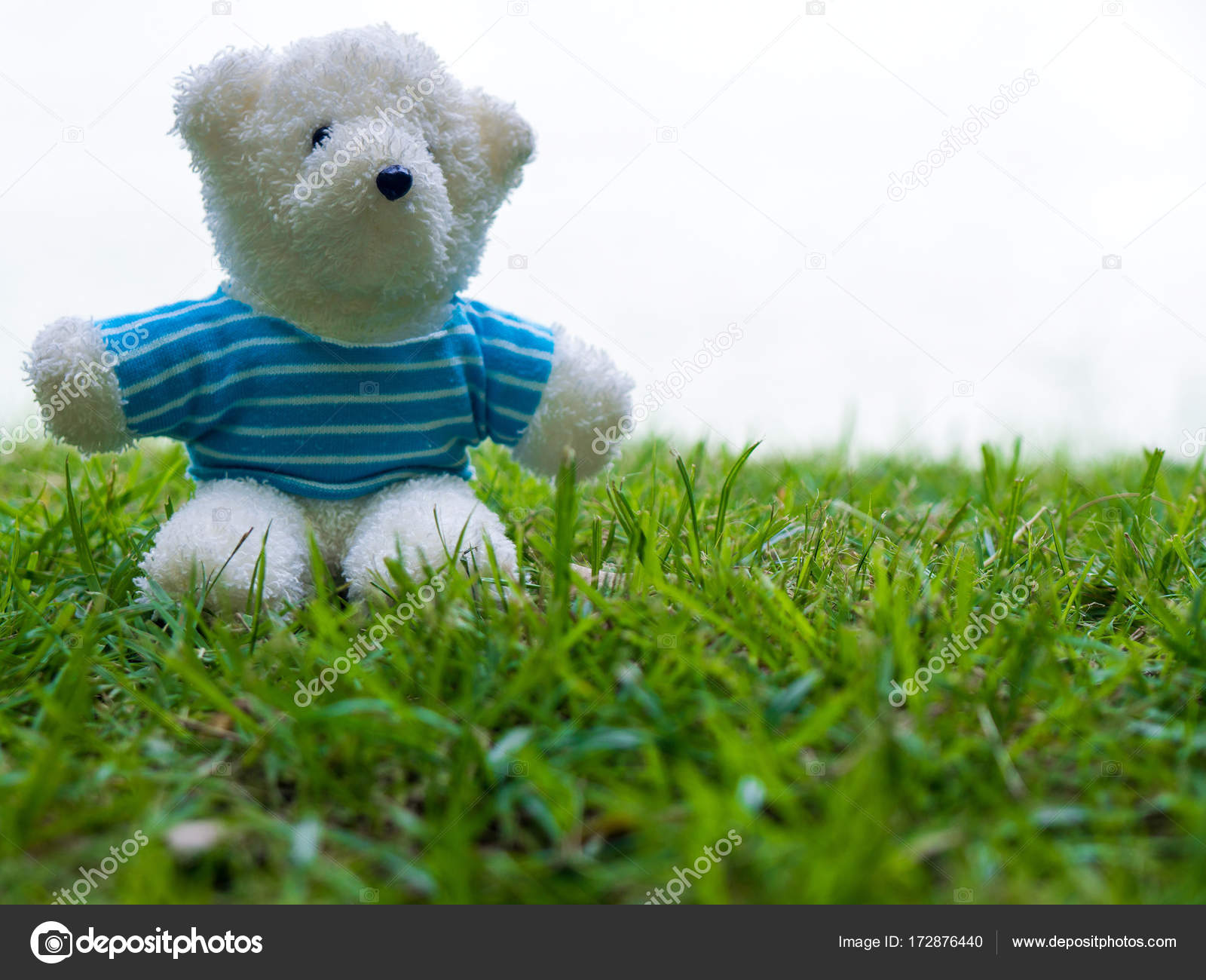 teddy bear wear