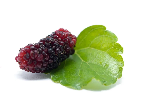 Gruppe von Maulbeeren mit Blättern isoliert auf weißem Hintergrund. Maulbeere ist eine Frucht und kann gegessen werden. — Stockfoto