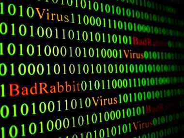 Güvenlik ve virüs ve kötü tavşan Ransomware kavramı. Kötü tavşan ve yeşil ikili kod kırmızı metin.