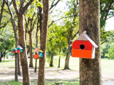 Renkli kuş evleri parkta bir ağaç üzerinde asılı, kuş evi, çeşitli points.birdhouse orman çekmek için inşa birçok parlak renkli kuş evleri ile yerleştirildi