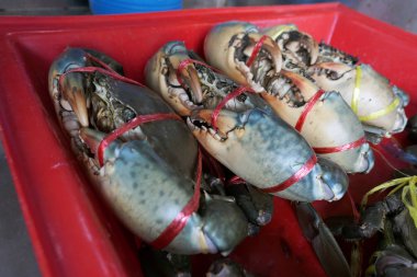 Taze yengeçler içinde belgili tanımlık çarşı içinde kırmızı bir kamyonet bağlanmıştır. Taze ve delicious.the büyük pençeleri bir yengeç. Yengeç yemek pişirmek için uygundur. Bu iyi malzeme var. Restoran için