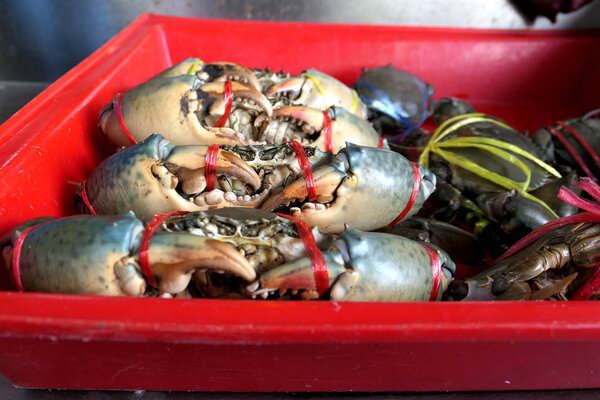 Fresh crabs are tied in a red pickup in the market. Fresh and delicious.the big claws of a crabs. Crabs are suitable for cooking. It is a good raw material. For the restaurant