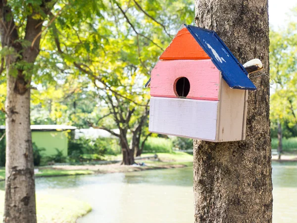 五颜六色的鸟屋在公园里挂着一棵树 鸟儿的房子被摆放在不同的点上 鸟笼森林与许多明亮地被上色的鸟房子被修造吸引 — 图库照片