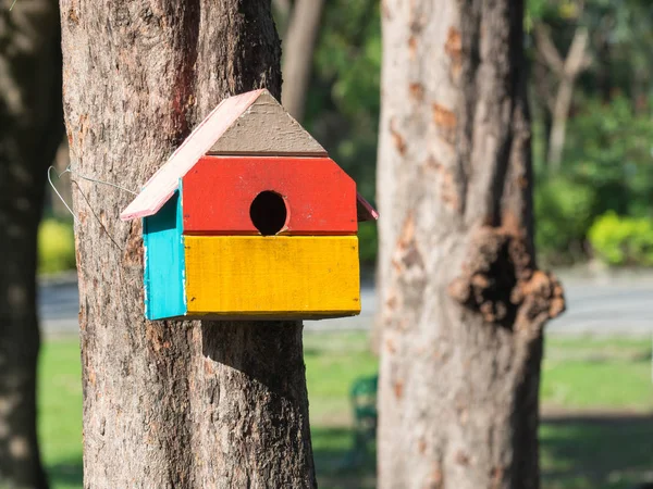 Renkli kuş evleri parkta bir ağaç üzerinde asılı, kuş evi, çeşitli points.birdhouse orman çekmek için inşa birçok parlak renkli kuş evleri ile yerleştirildi