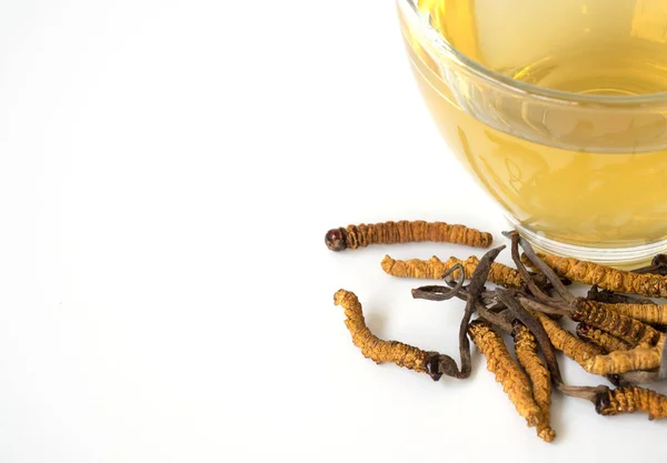 Mantar kordisepslerinin (CHONG CAO) odak noktasını seçin. Bu bir bitkidir. Bir bardak suyla, Ophiocordyceps sinensis özünden su ekle. Hastalıkların tedavisinde tıbbi özellikler.