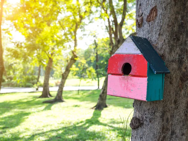 Colorful Bird Houses in the park Hanging on a tree, The bird house was placed at various points.birdhouse forest with many brightly colored bird houses built to attract