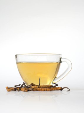 Mantar kordisepslerinin (CHONG CAO) odak noktasını seçin. Bu bir bitkidir. Bir bardak suyla, Ophiocordyceps sinensis özünden su ekle. Hastalıkların tedavisinde tıbbi özellikler.