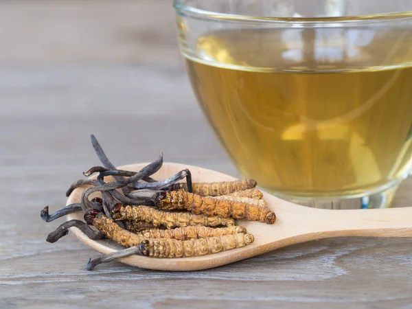 Tırtıl sinensis veya mantar cordyceps bu grubu bir otlar tahta kaşık cordyceps su önünde yerleştirilir. ahşap masa üzerinde. Ulusal Organik tıp.