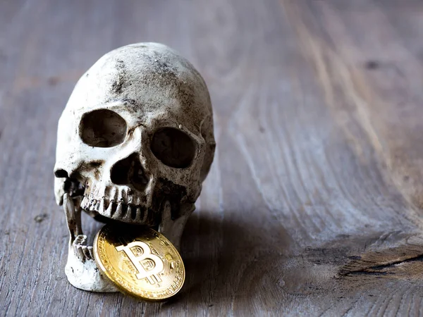 Altın bitcoin ahşap masa üzerinde ısırma kafatası kapatın. Yatırım ve bitcoin ve cryptocurrency dalgalanma kavramı. Hayal kırıklığına yatırımcılar hissi.