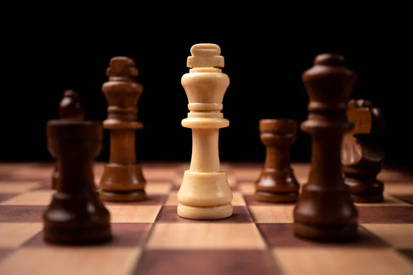 White king standing confront of Brown king and being in the chess circle. New business players are facing challenges. The management or leadership, analysis, strategy concept.