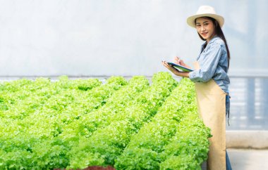 Seradaki hidroponik tarım sisteminde kontrol kalitesi için Asyalı çiftçi kadın elinde dosya ve çiğ sebze salatası tutuyor. Su, ışık, sıcaklık kontrol ortamı kavramı. Organik yiyecekler