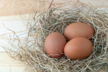 Mavi ahşap arka planda saman yuvasında taze kahverengi tavuk yumurtası. Organik yumurta kavramı, metin veya diğer elementler için boş alan