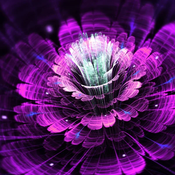 Flor fractal púrpura oscura, obra de arte digital para un diseño gráfico creativo — Foto de Stock