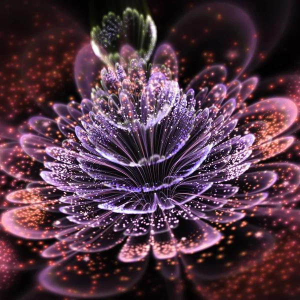 Barevné tmavé fraktální květina, digitální kresba pro kreativní grafický design — Stock fotografie