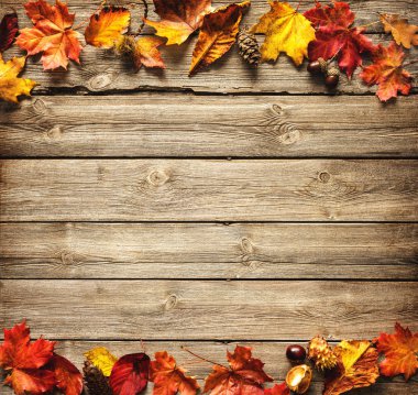 Şükran günü arka plan