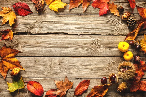 Thanksgiving herfst achtergrond — Stockfoto