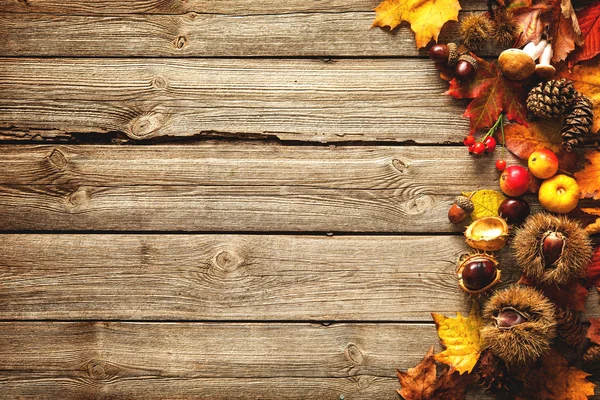 Erntedank im herbstlichen Hintergrund — Stockfoto