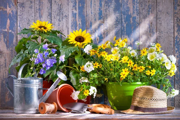 Ferramentas de jardinagem e flores no terraço — Fotografia de Stock