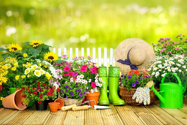 Attrezzi di giardinaggio e fiori sulla terrazza i — Foto Stock