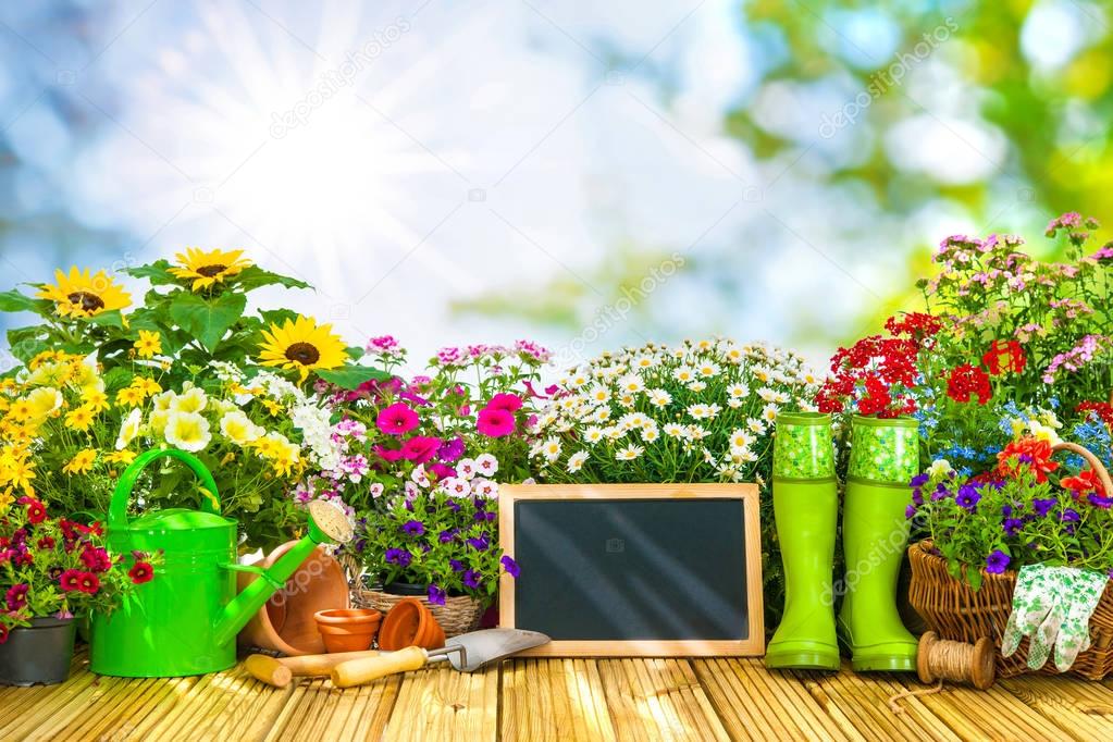 Gardening tools and flowers on the terrace i