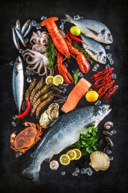 Taze balık ve deniz ürünleri.