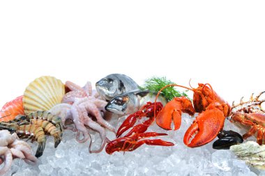 Fresh seafood on crushed ice clipart