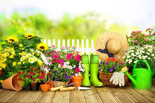 Trädgårdsskötsel verktyg och blommor på terrassen i — Stockfoto