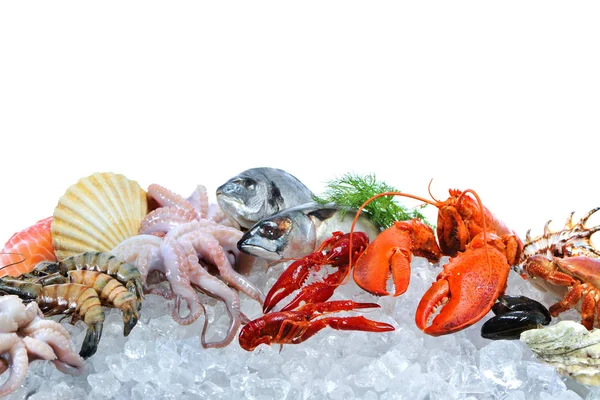 Frutti di mare freschi su ghiaccio tritato — Foto Stock