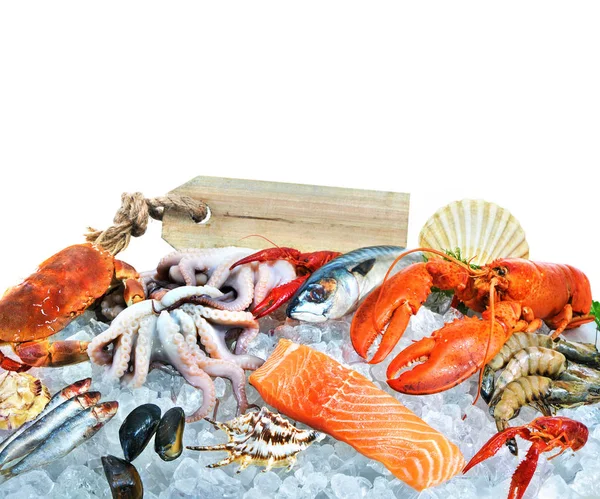 Fresh seafood on crushed ice — Stock Photo, Image